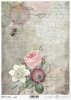 handwriting, butterfly, bee, background, Insekten, Blume, Rose, Rosen, Schrift, Zeitung, Brief, Handschrift, Schmetterling, Biene, Hintergrund, insectos, flor, rosa, rosas, escritura, periódico, carta, letra, mariposa, abeja, fondo